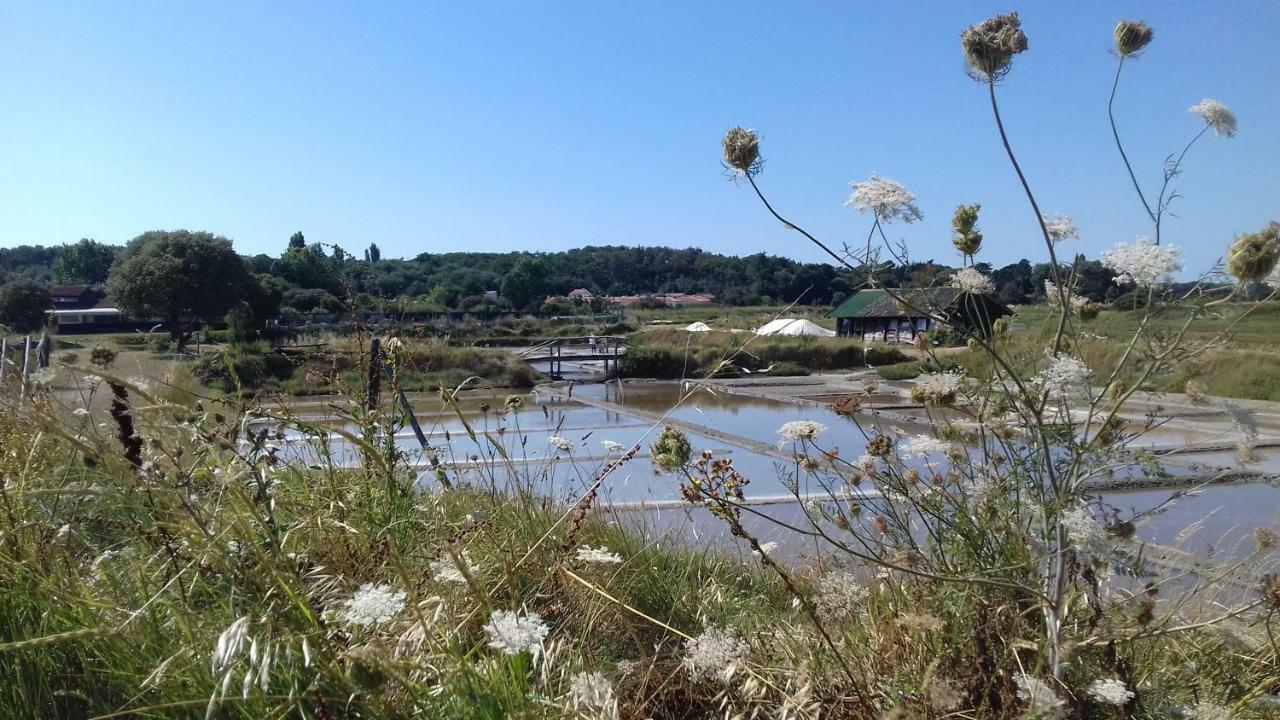 La Chaumette Les Sables-dʼOlonne Exterior foto